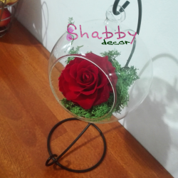 Trandafir criogenat rosu in glob rotund de sticla