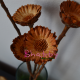 Protea Margareta Natur - Flori si Plante Uscate